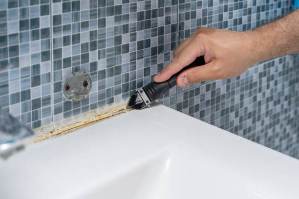 Best Attic Mold Removal  in Pico Rivera, CA