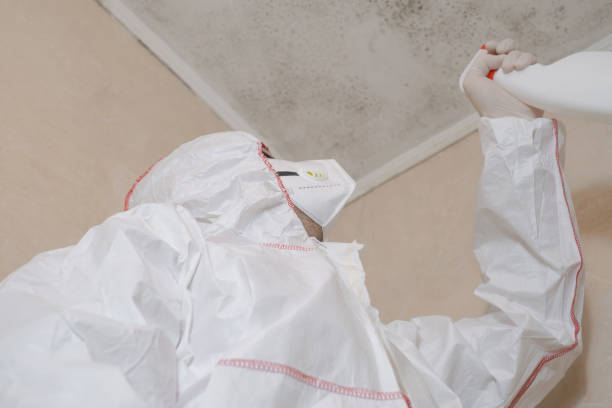 Crawl Space Mold Removal in Pico Rivera, CA